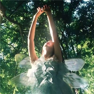 四海鲸骑第一季